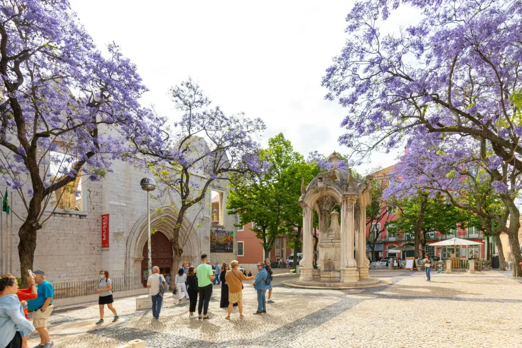 Lisbon History, Stories and Lifestyle Walking Tour